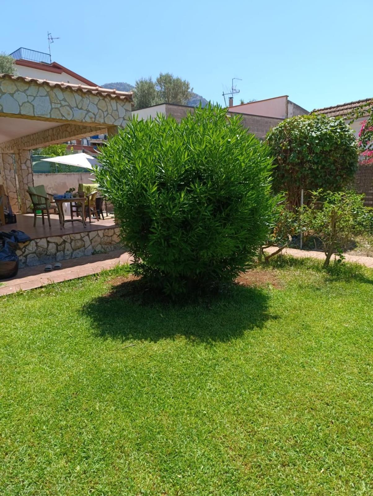 Villa Casa In Giardino A Pochi Passi Dal Mare Palermo Exterior foto